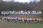 Senior Mens 2026 UK CAU Inter Counties Cross Country, Wollaton Park, Nottingham. Photo: David T. Hewitson/Sports for All Pics